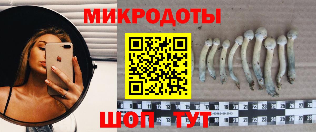 Псилоцибиновые грибы ЛСД Тосно
