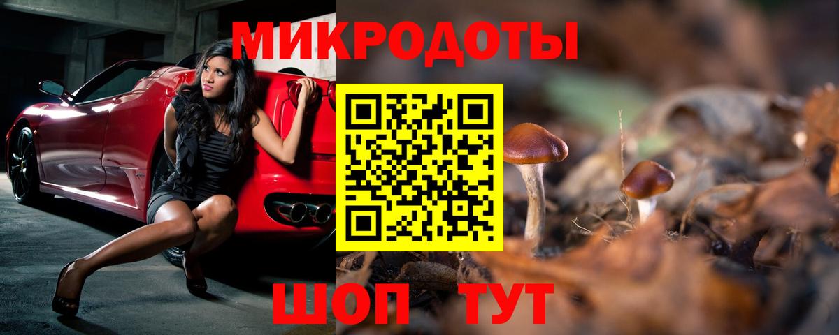 магазин продажи наркотиков  Псилоцибиновые грибы Psilocybe  Тосно  Вход с VPN  Псилоцибиновые грибы Magic Shrooms 